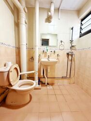 Blk 53 Geylang Bahru Riverpoint (Kallang/Whampoa), HDB 5 Rooms #604350381